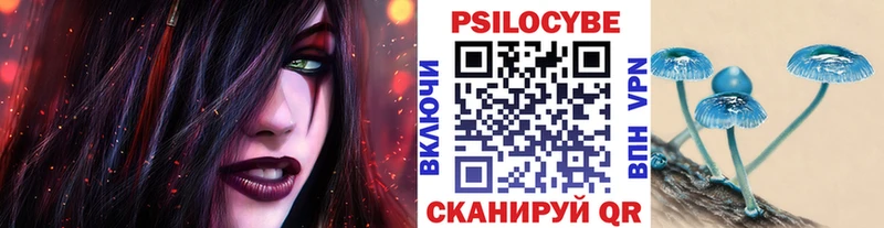 где можно купить наркотик  Дагестанские Огни  Галлюциногенные грибы Psilocybe 