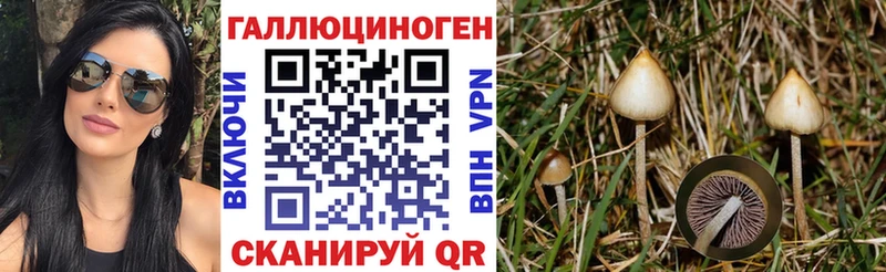 Галлюциногенные грибы Psilocybe Дагестанские Огни