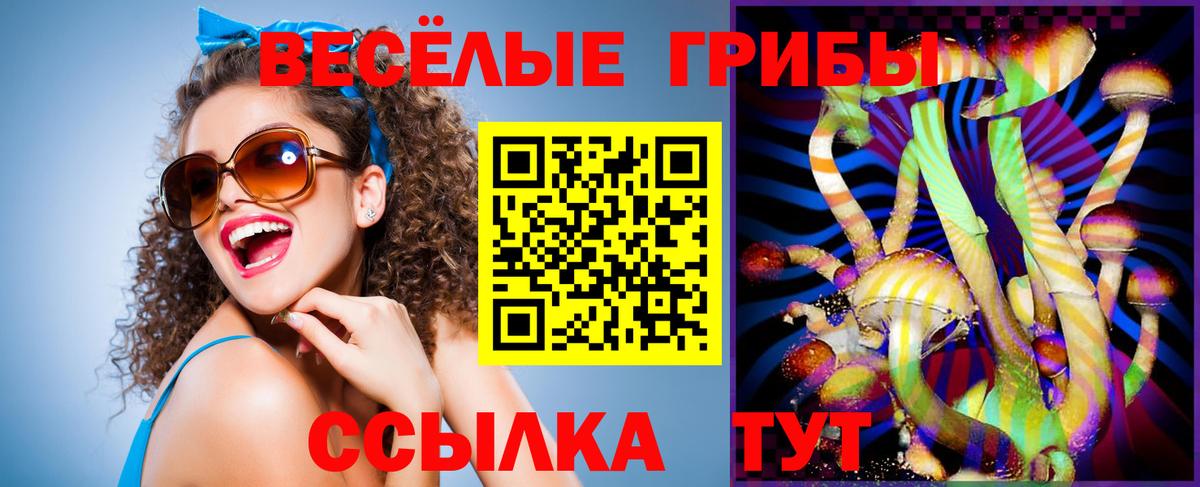 Псилоцибиновые грибы Cubensis Дагестанские Огни