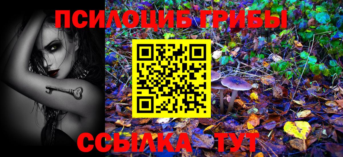 Псилоцибиновые грибы мицелий  Вход с VPN  Дагестанские Огни 